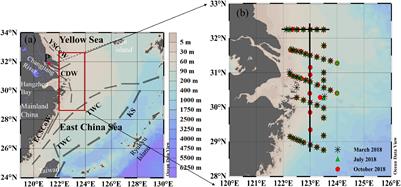 Seasonal Variability of the Carbonate System and Air–Sea CO2 Flux in the Outer Changjiang Estuary, East China Sea